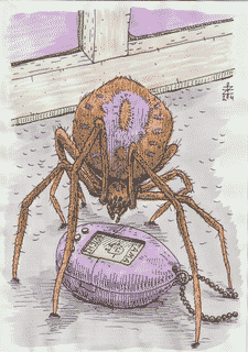 parasteatoda-tepidariorum-playing-with-tamagochi-2024